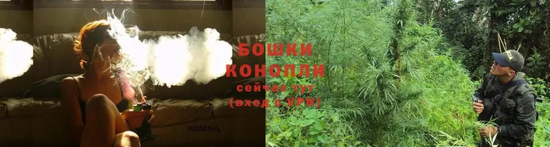 Конопля SATIVA & INDICA  где купить наркотик  Белоярский 